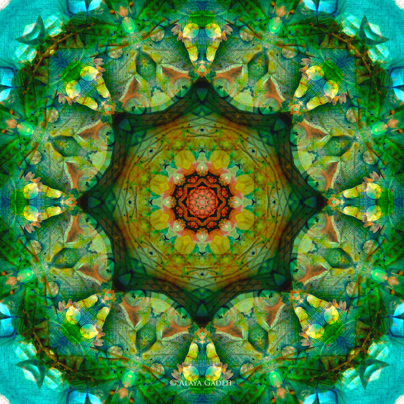 Fine Art Print Flower Mandala 16" X 16" - Wall Art Blossom Symmetric Colorful Meditation Zen Ornament